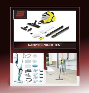 Dampfreiniger Test